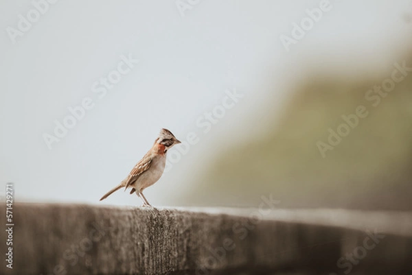 Fototapeta bird's eye view