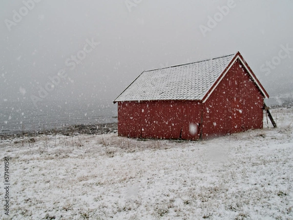 Obraz Boatshed/barn in falling snow