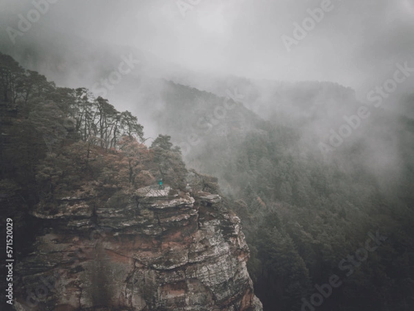 Obraz Mystical cloudy autumn forest germany