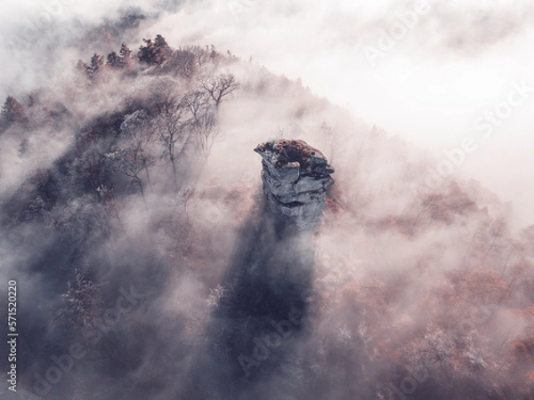 Obraz Mystical cloudy autumn forest germany