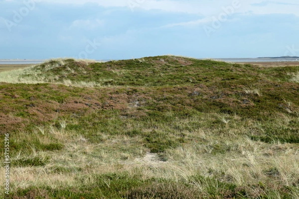 Obraz Dünenlandschaft am Ellenbogen auf Sylt