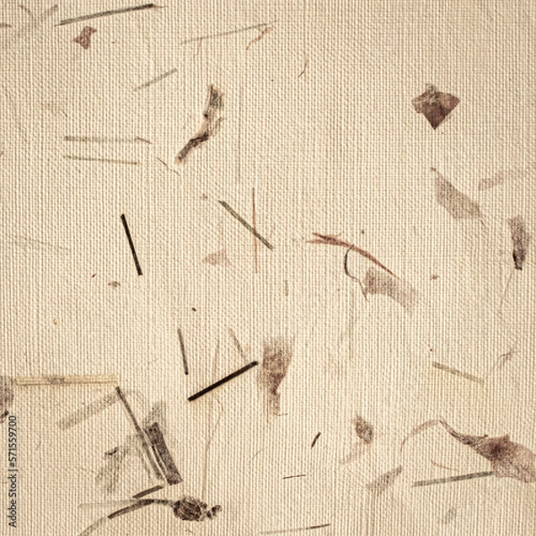 Fototapeta Handmade Creamy Paper with Pieces of Onion Peels and Grass, Textured Background, Natural, Watercolor, for Any Handicraft Purpose, Square