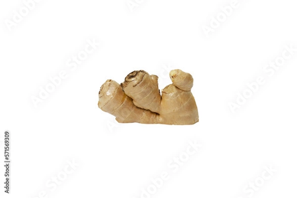 Fototapeta ginger 2, isolated on white background