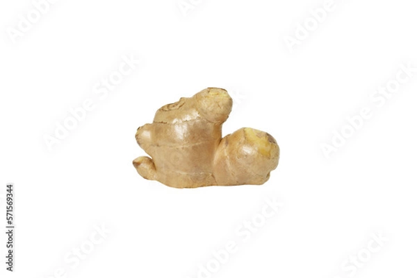 Fototapeta ginger 4, isolated on white background