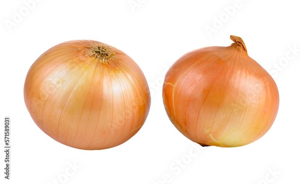 Fototapeta onion on transparent png