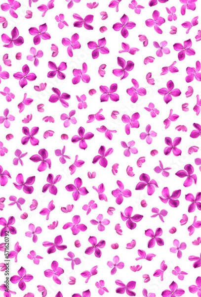 Fototapeta Floral pattern. Spring mockup. Purple lilac flowers isolated on white background. With clipping path. Creative floral background, elements for design, postcards, congratulations