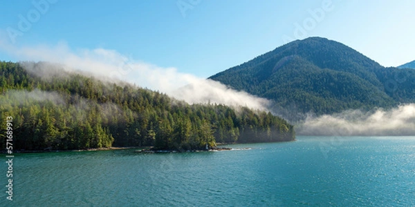 Fototapeta Pine and cedar forest panorama in mist, Inside Passage cruise between Prince Rupert and Port Hardy, Vancouver Island, British Columbia, Canada.
