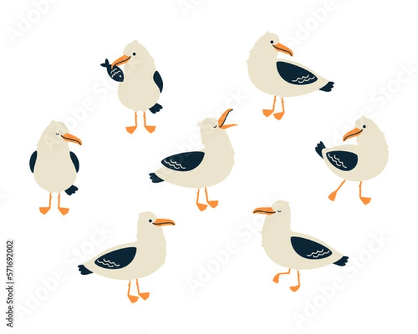 Obraz Cute seagull characters set. Isolated on white background. Cartoon hand drawn vector illustration.
