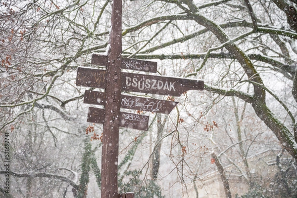 Obraz cross in the woods