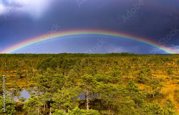 Fototapeta Nature before the storm.Warm summer day.The beauty of nature.Landscape of a national park with full rainbow in the sky before a thunderstorm.Heavy dark beautiful blue clouds and green grass and trees