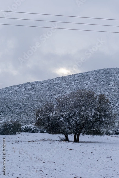 Fototapeta Scenic view of snow covered landscape in the Aures Mountains, Algeria