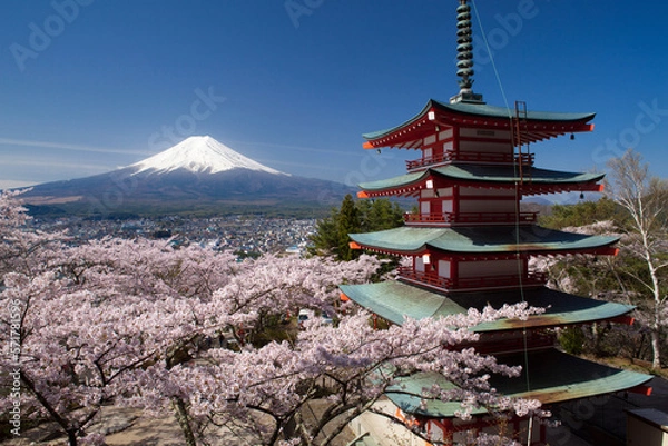 Obraz 忠霊塔と桜と富士山