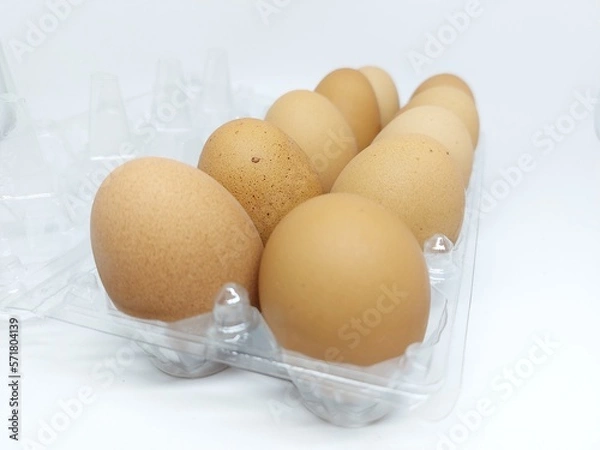 Fototapeta Close up dozen brown free range hen eggs on plastic container isolated on white background side view 