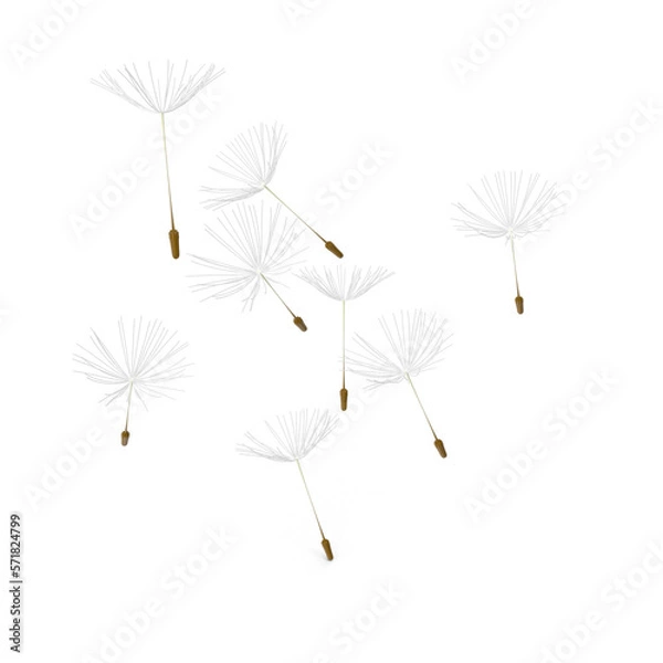 Fototapeta dandelion seeds on transparent