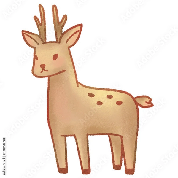 Obraz deer