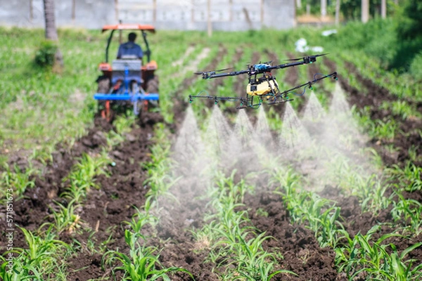Fototapeta drones for agriculture and forestry spray chemicals in the farm