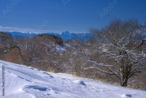 Obraz 長野県・南牧村 平沢峠から望む冬の南アルプスの風景