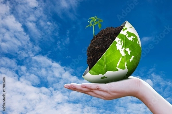Obraz Eco world on hand sky background