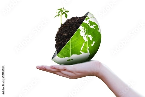 Obraz Eco world on hand