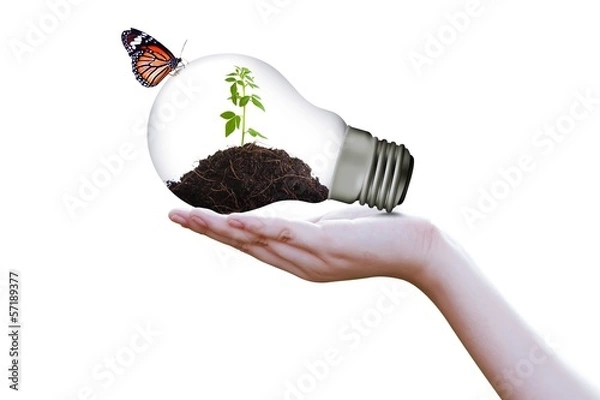 Obraz tree in lamp on hand