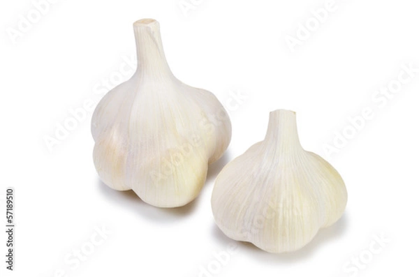 Fototapeta garlic