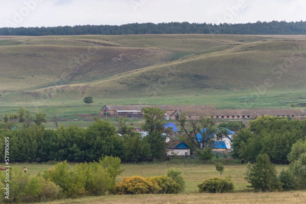 Fototapeta horse grazing in a field with a house in the background, hill on background