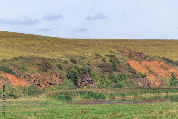 Fototapeta steep red clay shores of the lake in summer. herons hunt fish in shallow water in reed beds