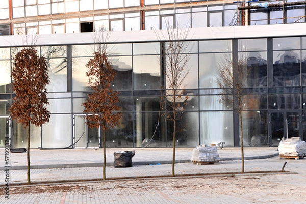 Obraz meat on the grill