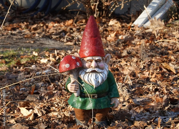 Obraz Gnome in Winter