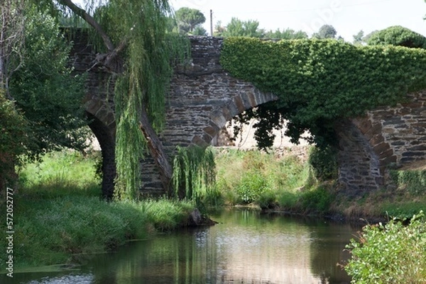 Obraz PUENTE EN RIONOR