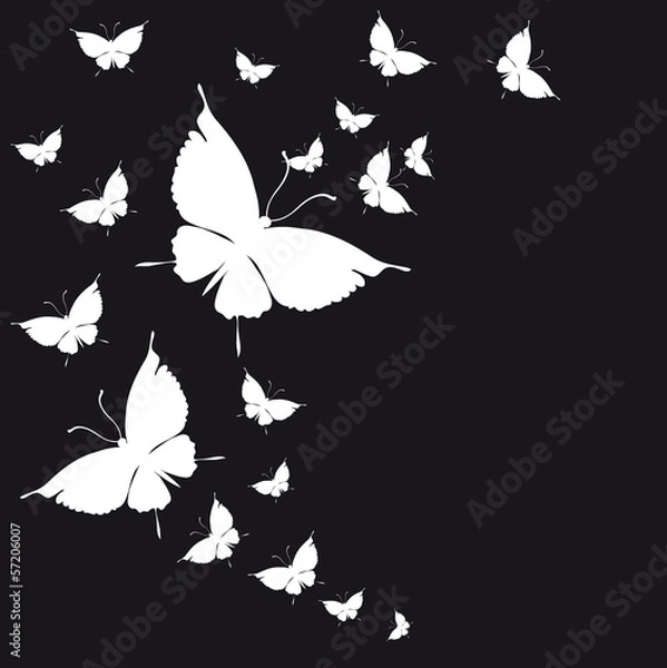 Obraz butterflies design