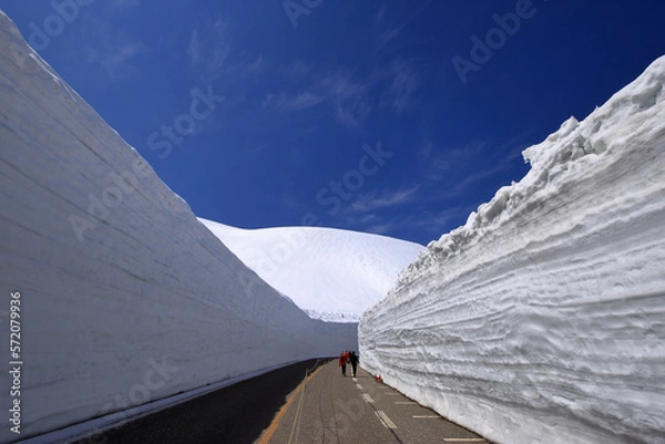 Obraz 立山黒部 雪の大谷 ウォーキング ゾーンの風景 ( 2022年4月 富山県 立山町 )
