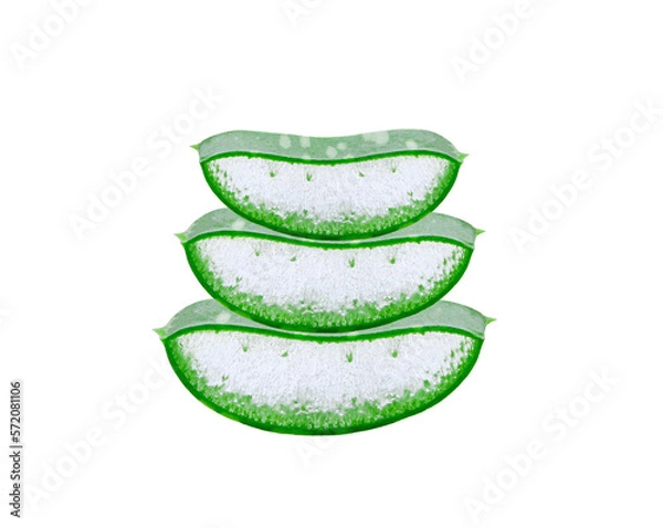Obraz aloe vera isolated on the  transparent png