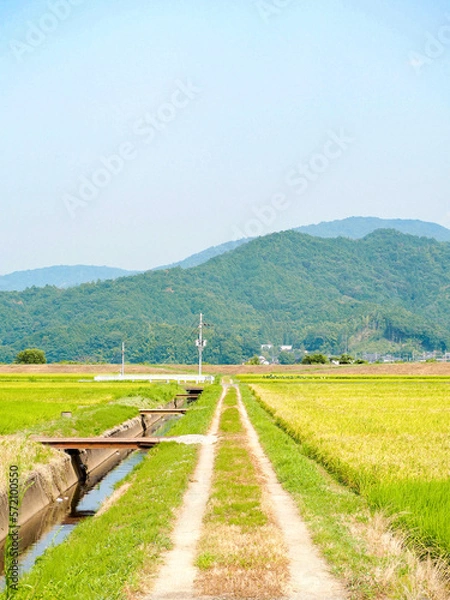 Obraz 田舎の一本道