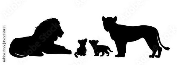 Fototapeta Family of lions lie resting. African savanna predator. Silhouette picture. Dangerous animal in natural conditions. Isolated on white background. Vector.