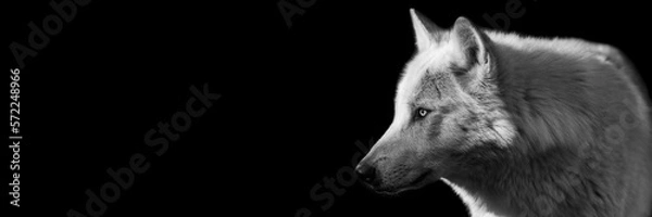 Obraz Template of a black wolf with a black background