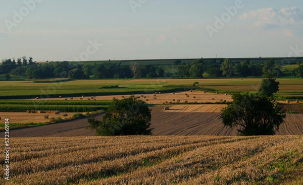 Fototapeta Rolnictwo 