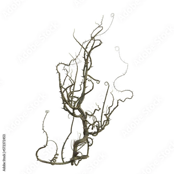 Fototapeta 3d render isolated briar thorn patch