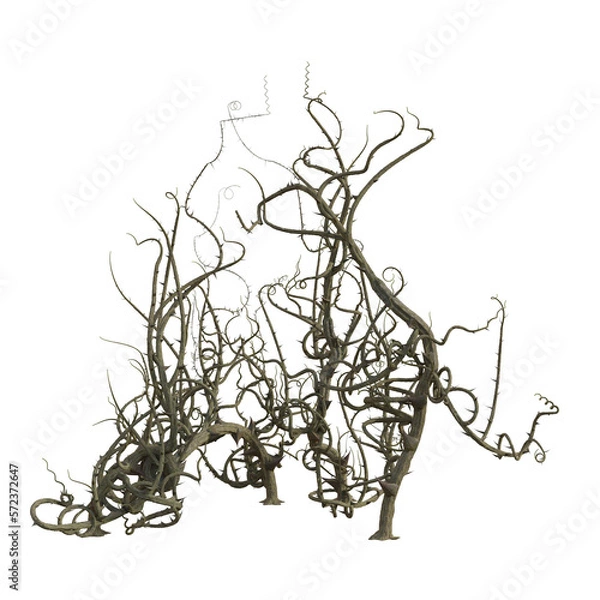 Obraz 3d render isolated briar thorn patch