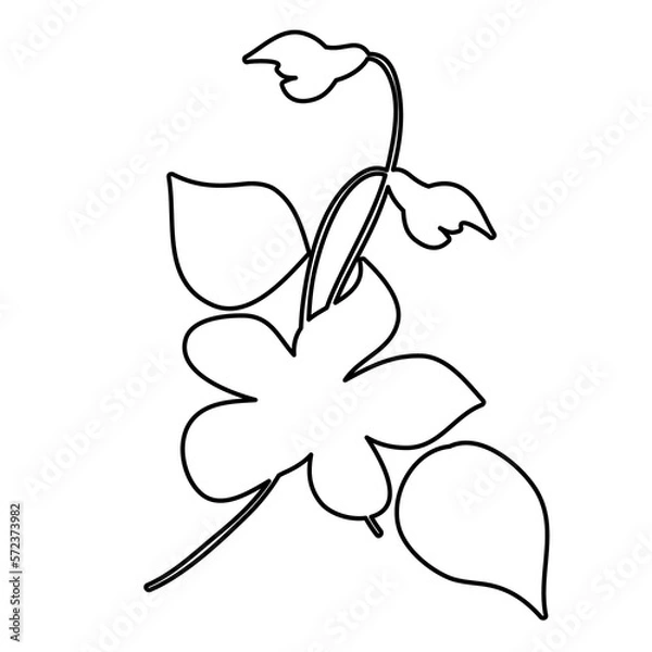 Fototapeta Outline Flower. Floral Illustration. Hand drawn continuous line wild elegant herb. Modern botanical rustic greenery.