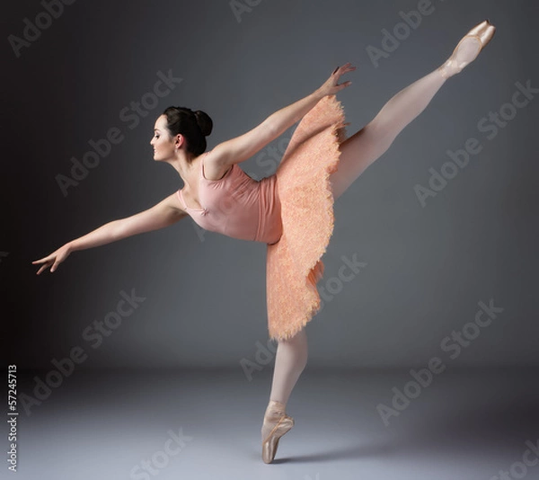 Obraz Female ballet dancer