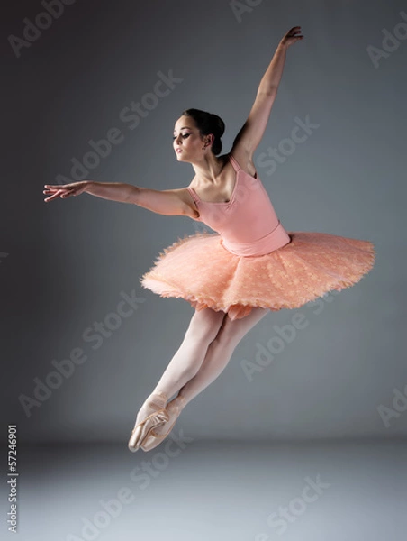 Obraz Female ballet dancer