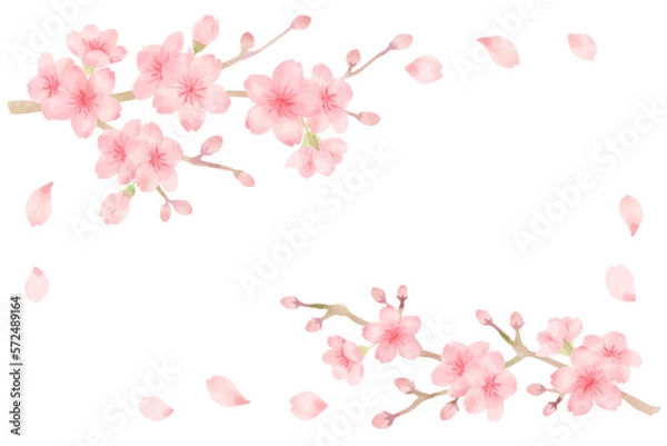 Obraz 枝に咲いている桜の水彩風パーツイラストセット　主線なし、ベクター