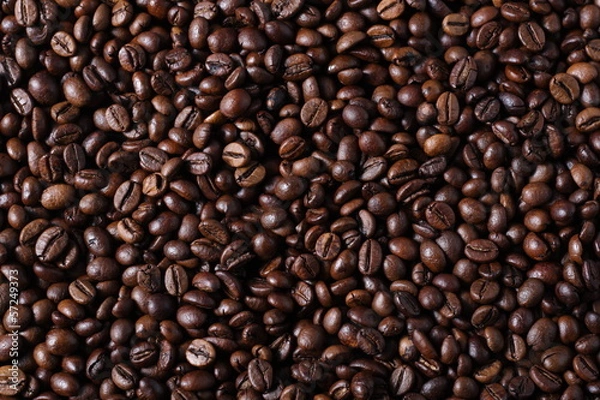 Fototapeta Robusta Coffee Beans