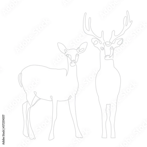 Obraz Deer Buck and Doe - Minimalist Single Line Drawing