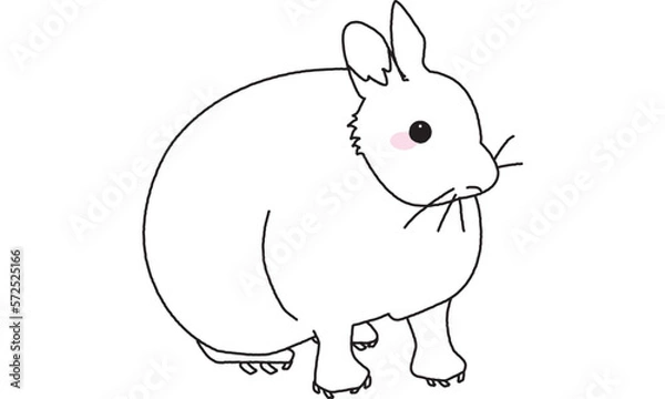 Obraz 世界自然遺産の島のアマミノクロウサギ　線画