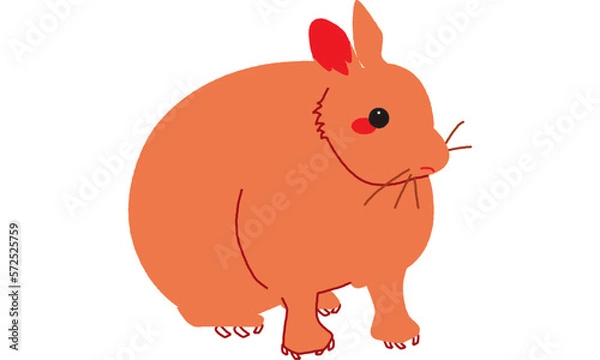 Obraz 世界自然遺産の島のアマミノクロウサギ　ビビット調