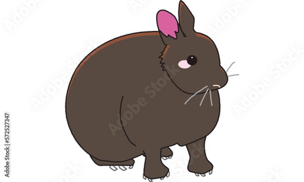 Obraz 世界自然遺産の島のアマミノクロウサギ　ポップ調