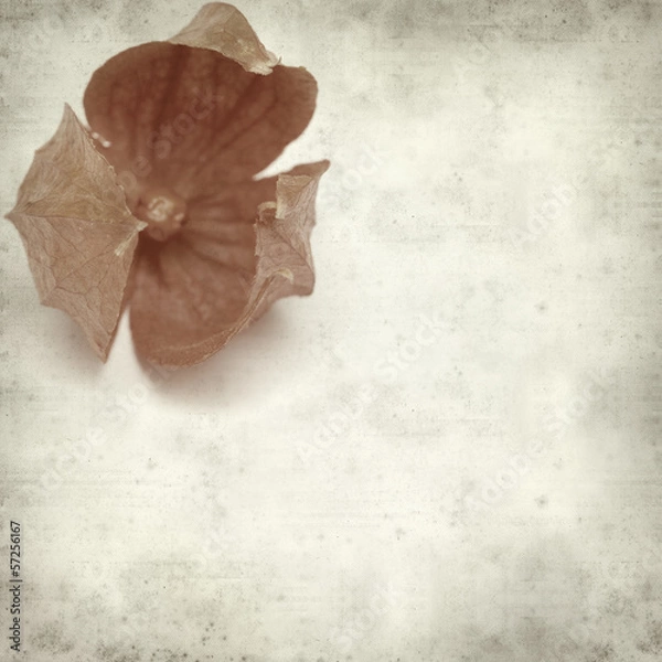 Obraz textured old paper background