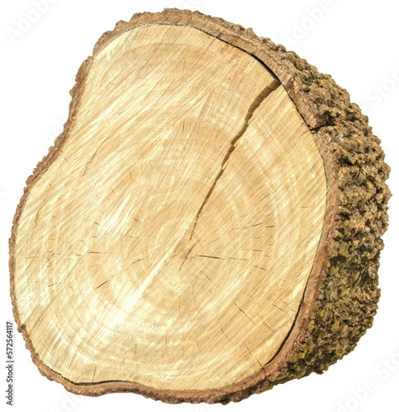 Fototapeta Wooden nature cutting board from tree trunk.